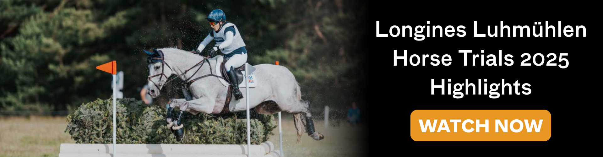 Luhmuhlen Highlights