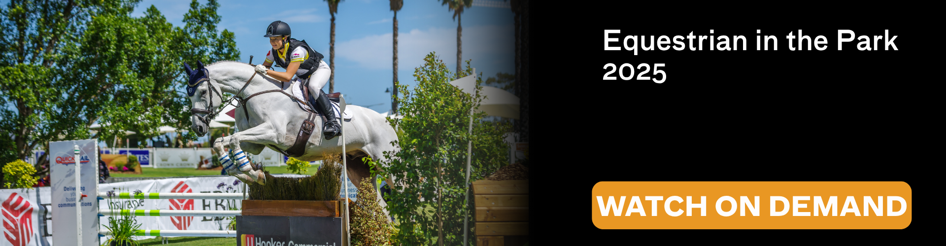 Equestrian in the Park